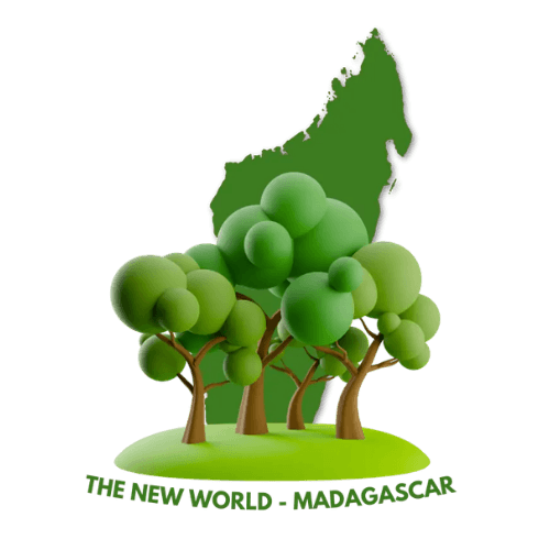 TNW MAD — The New World Madagascar logo
